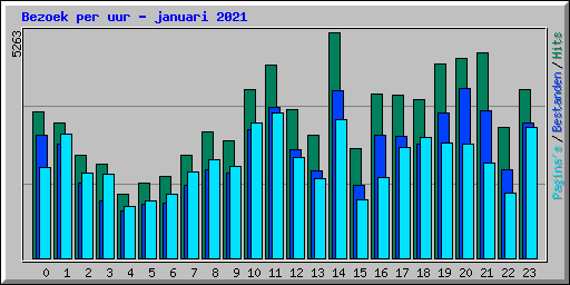 Bezoek per uur - januari 2021